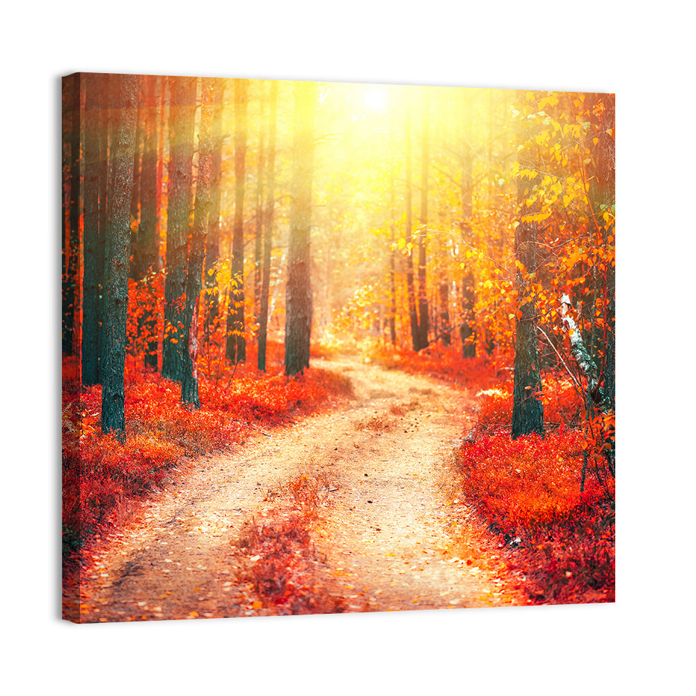 Golden Path Through Autumn Woods Wall Art
