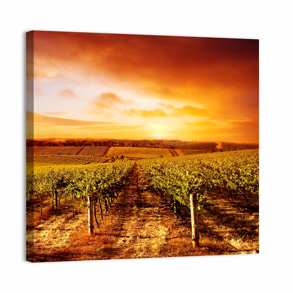 Australian Vineyard Sunset Wall Art