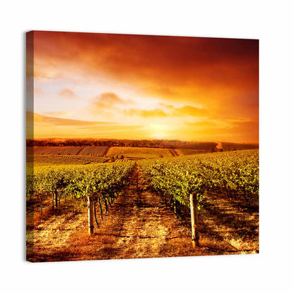 Australian Vineyard Sunset Wall Art