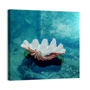 Beach Shell Wall Art