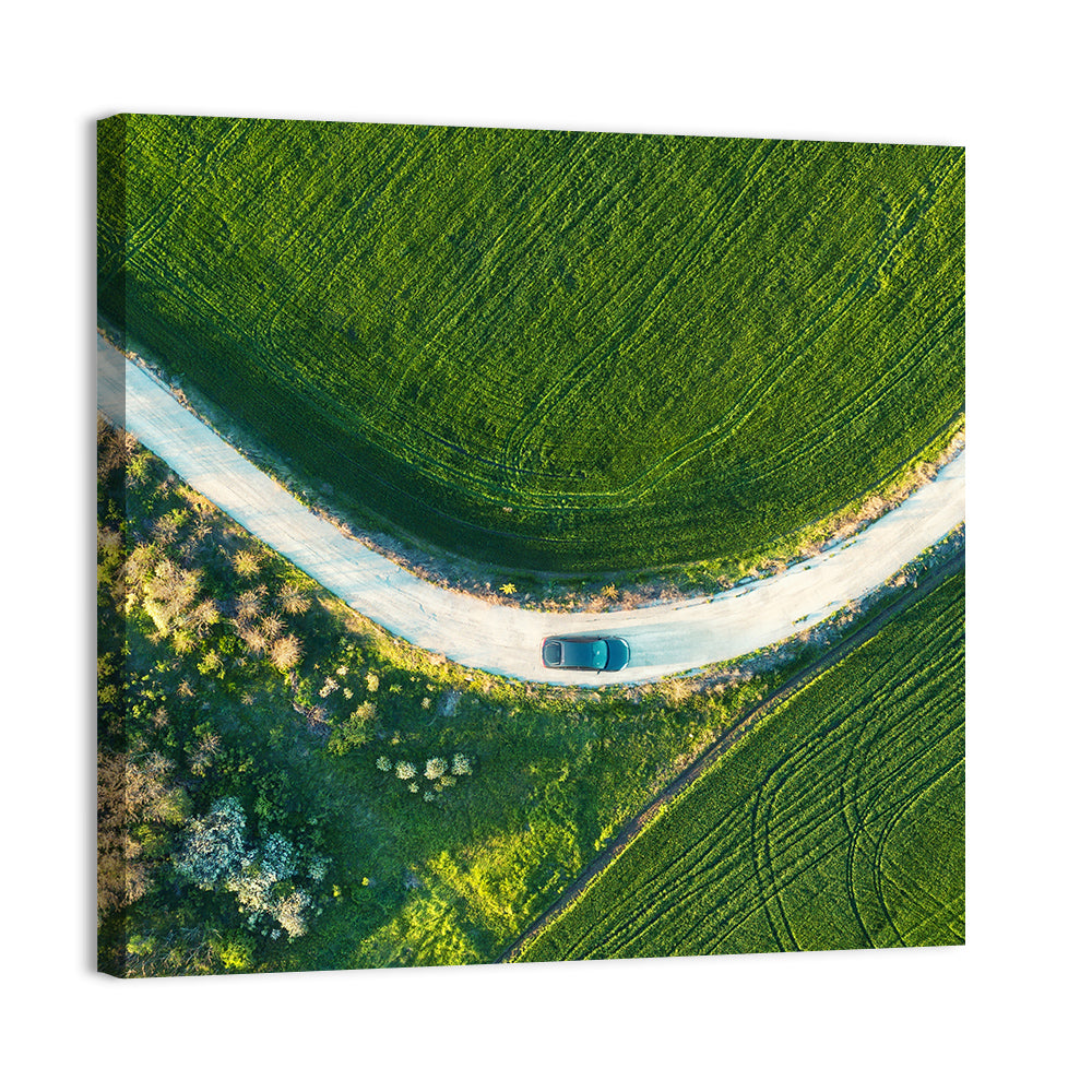 Aerial Farm Fields at Golden Hour Wall Art
