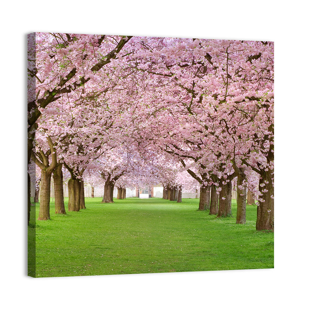 Cherry Blossom Avenue Wall Art