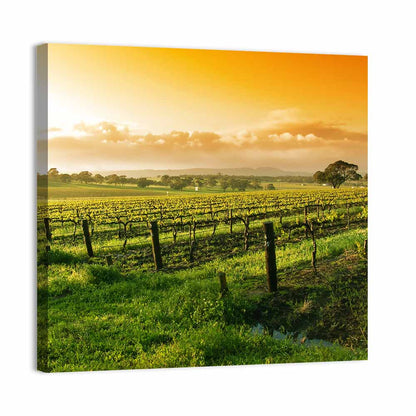 Barossa Valley Vineyard at Sunrise Wall Art