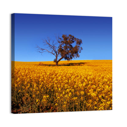 Canola Field with Lone Tree Wall Art