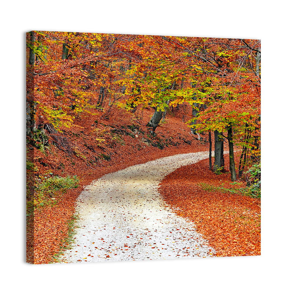 Misty Gravel Path Through Autumn Trees Wall Art