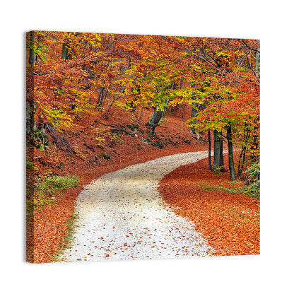 Misty Gravel Path Through Autumn Trees Wall Art