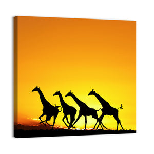 African Giraffes Wall Art