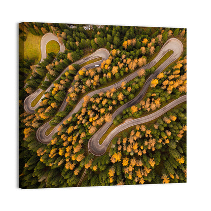 Aerial Curvy Forest Road Wall Art