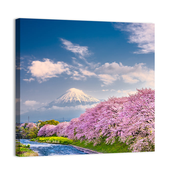 Mount Fuji Cherry Blossoms Wall Art as a canvas print