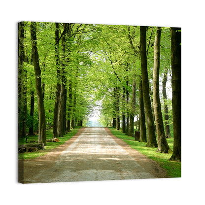 Sunlit Tree-lined Path Wall Art