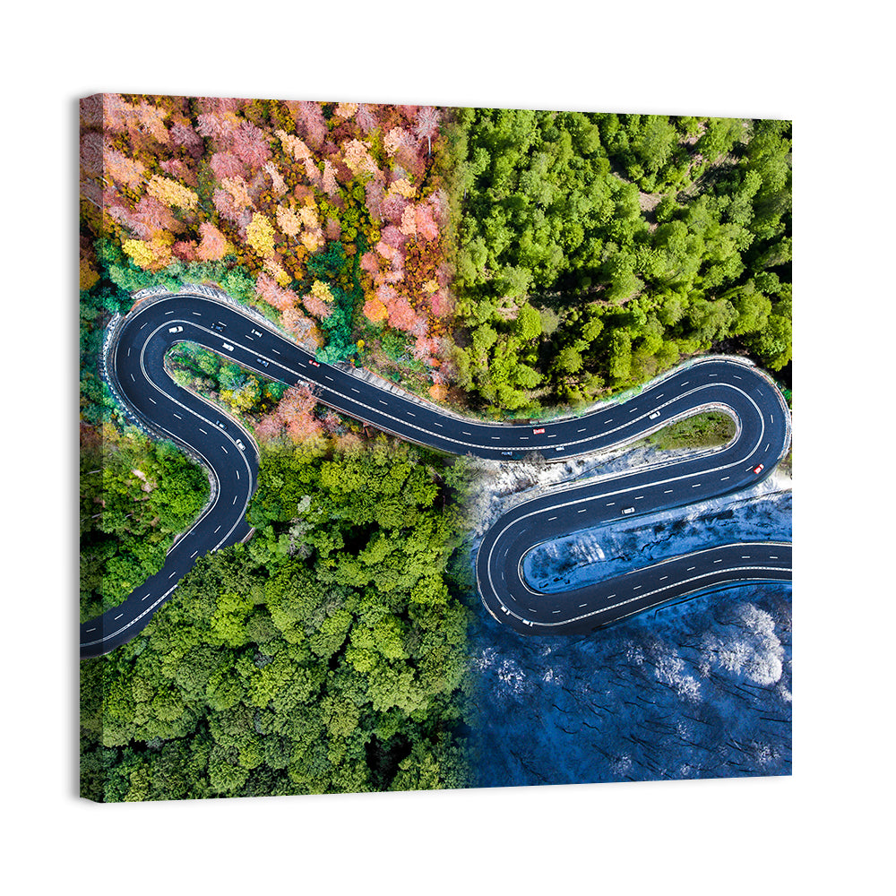 Four Seasons Winding Road Wall Art