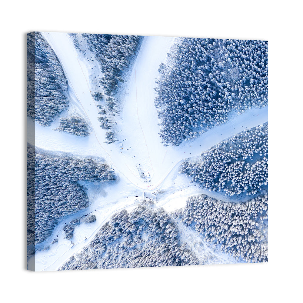 Birds-eye Ski Resort Landscape Wall Art