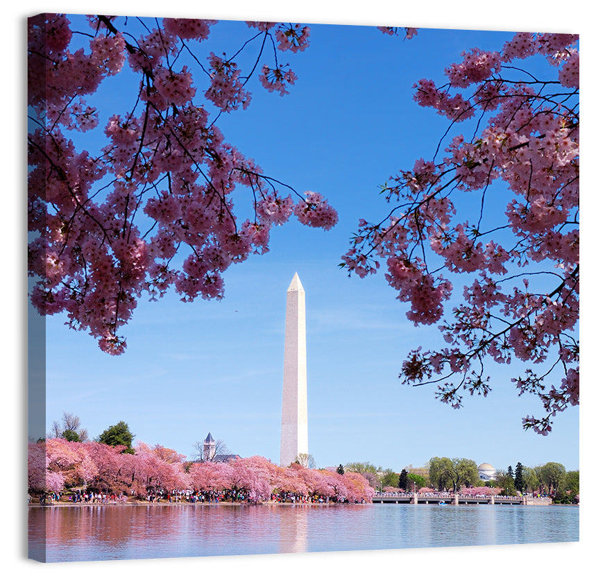 Washington Monument with Cherry Blossoms Wall Art