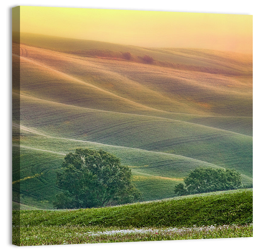 Tuscany Rolling Hills Wall Art