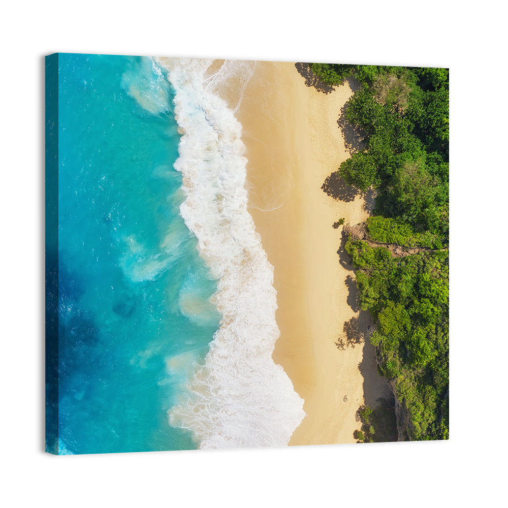 Aerial Turquoise Beach View Wall Art