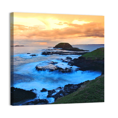 Phillip Island Wall Art