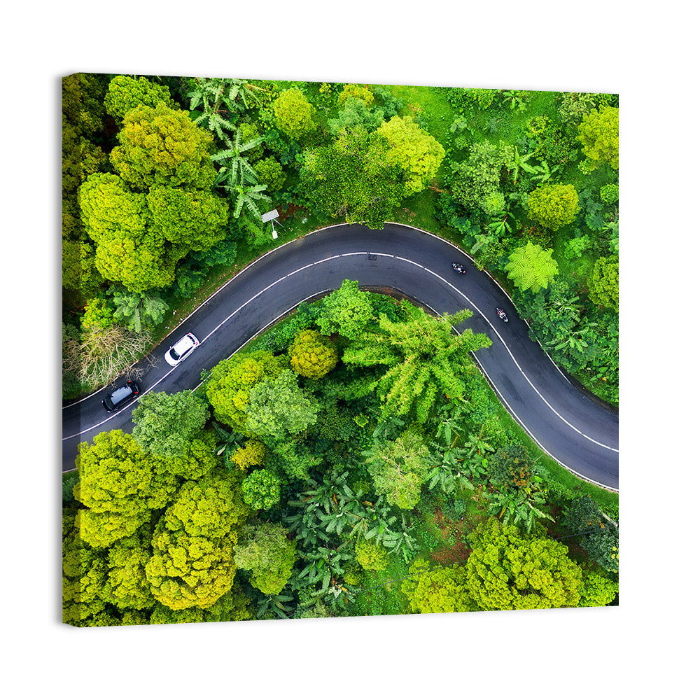 Winding Tropical Forest Road Wall Art