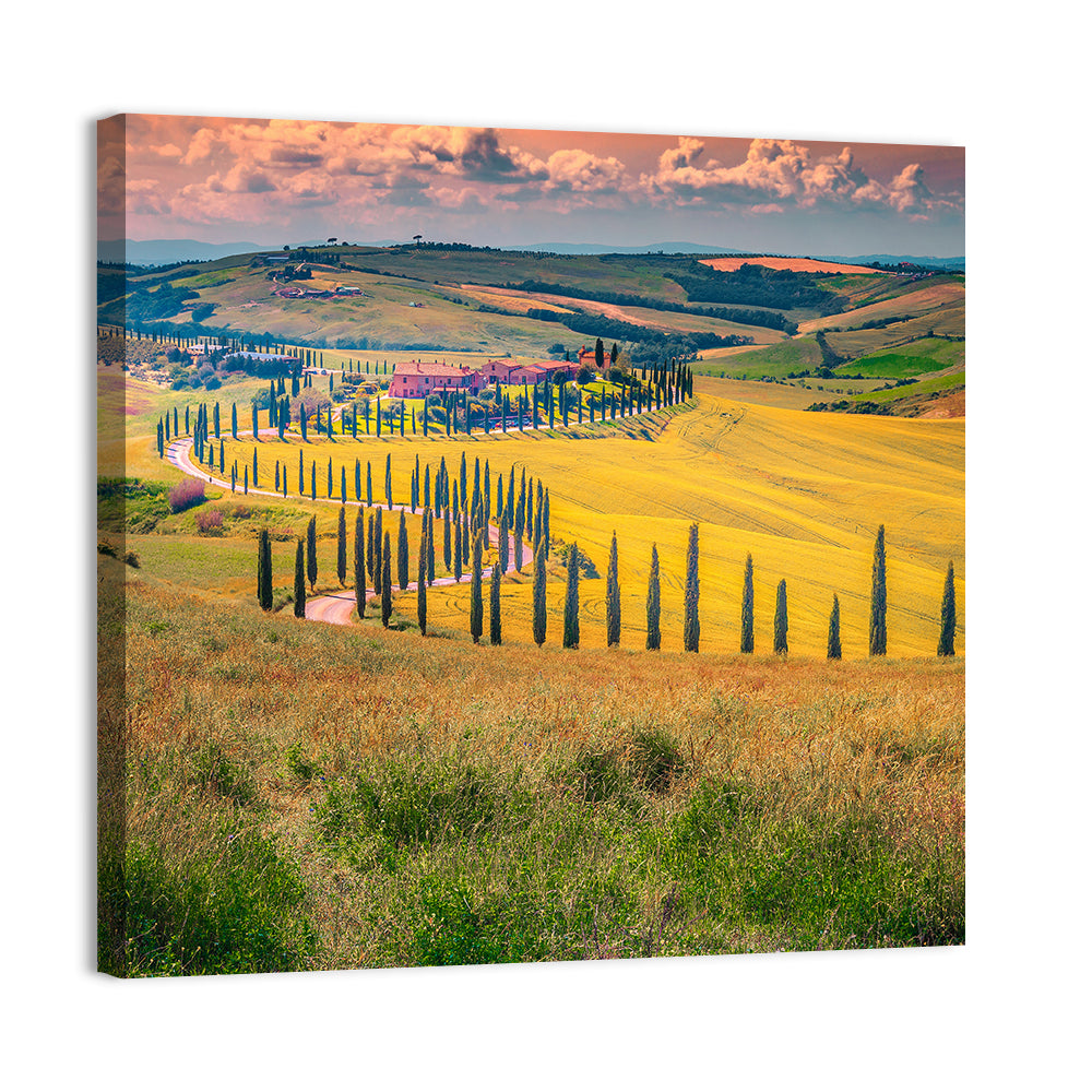 Val D'orcia Cypress Road Wall Art