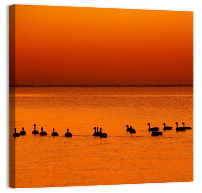 Geese Silhouettes at Orange Sunset Wall Art