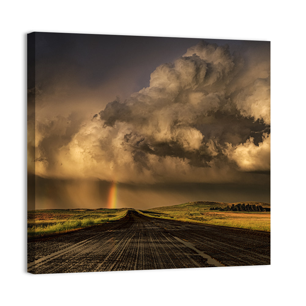 Rain-soaked Road to Rainbow Wall Art