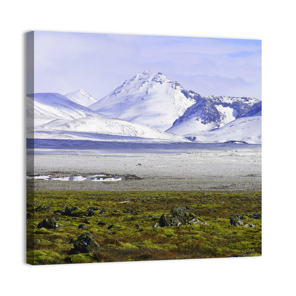 Icelandic Snow and Moss Landscape Wall Art