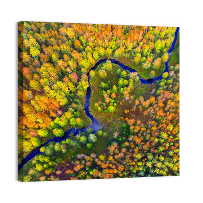 Autumn Forest River Wall Art