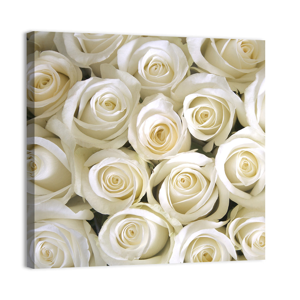 Silky Roses Wall Art