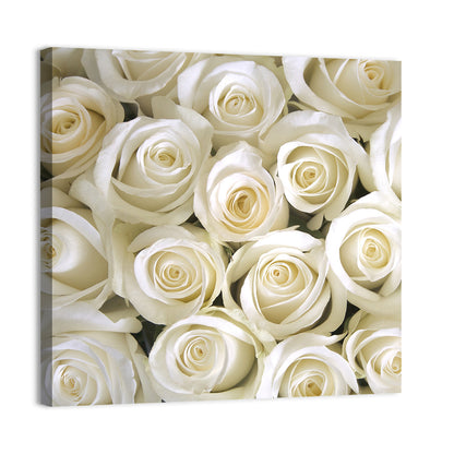 Silky Roses Wall Art