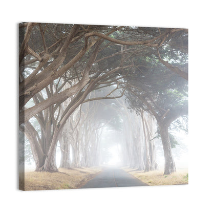 Misty Cypress Tunnel Wall Art