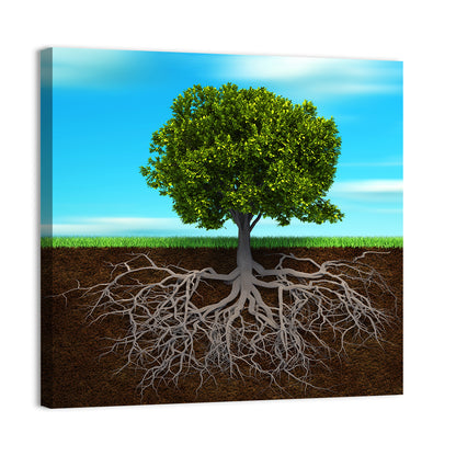 Tree Roots Cross-section Illustration Wall Art