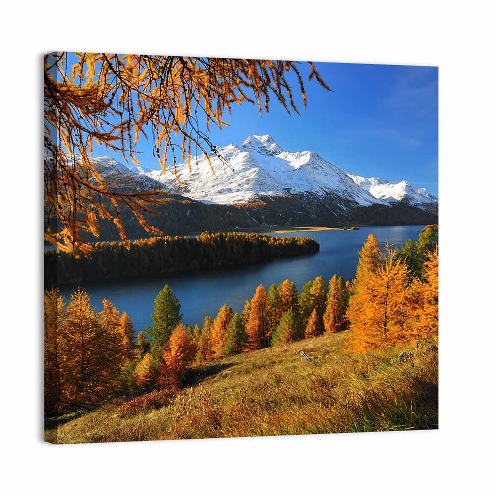 Silsersee Larches and Swiss Alps Wall Art