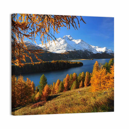 Silsersee Larches and Swiss Alps Wall Art