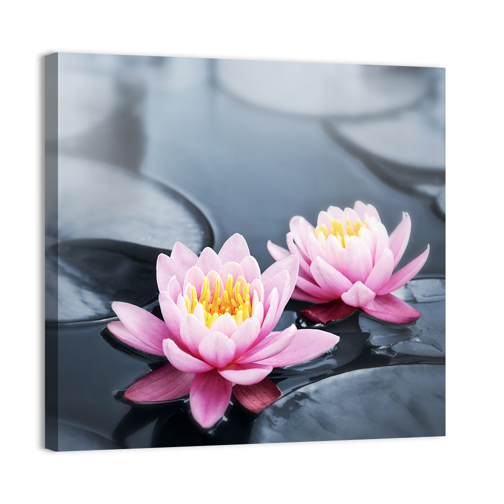 Pink Water Lilies Wall Art