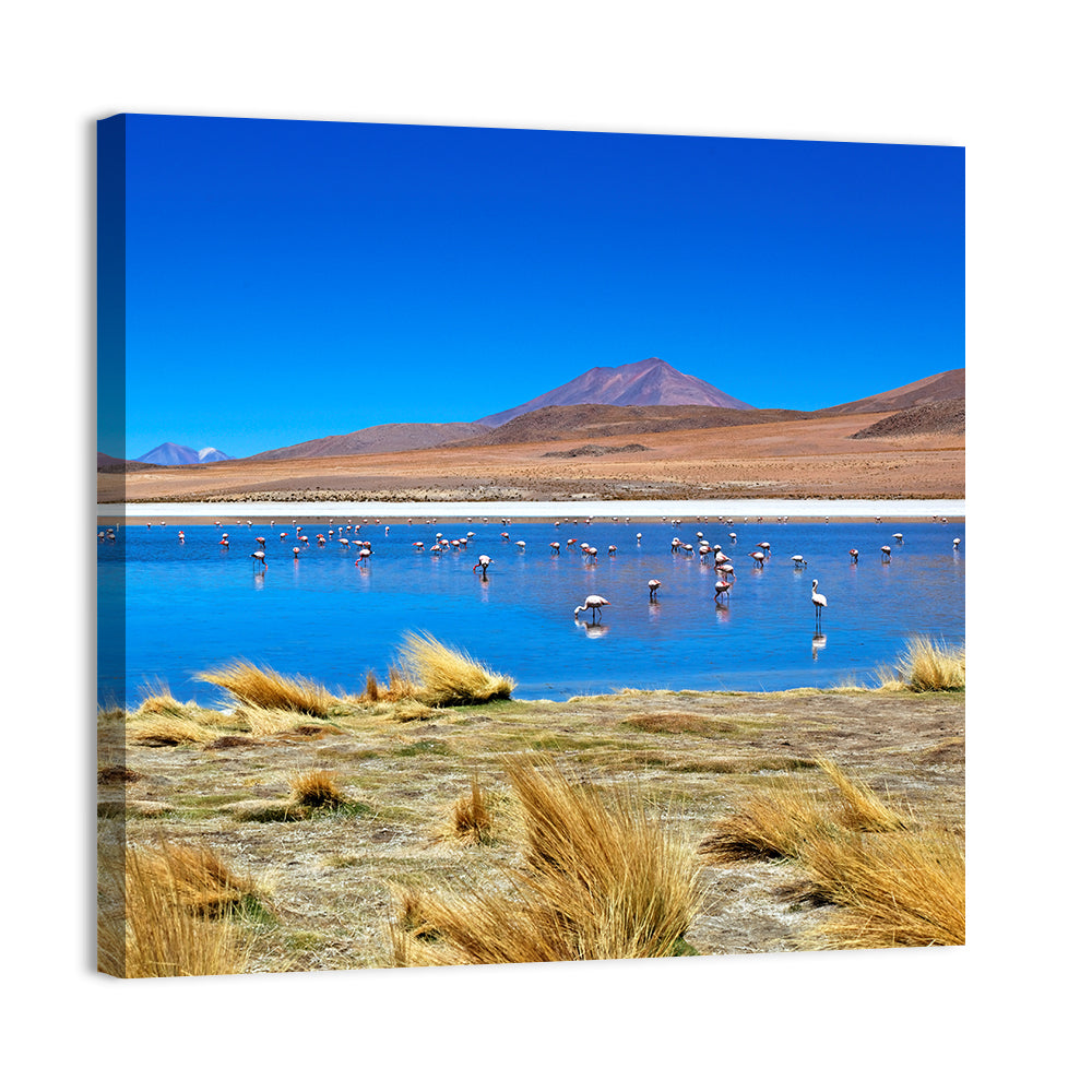 Laguna Flamingo Lake Wall Art