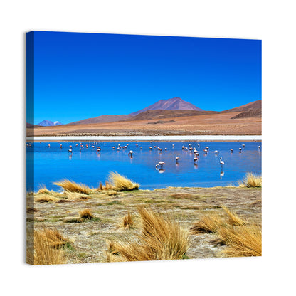 Laguna Desert Lake Wall Art