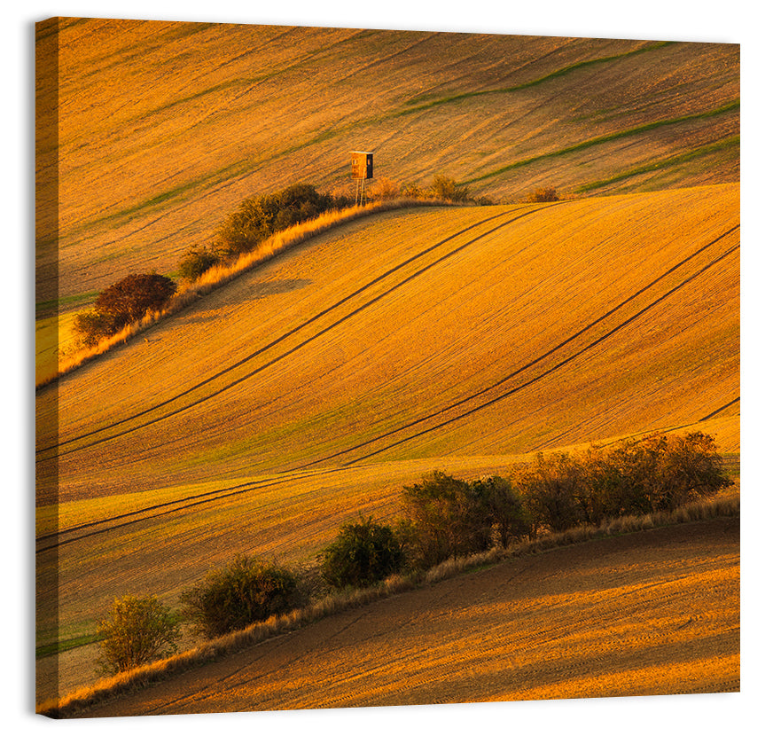 Golden Moravian Farm Tracks Wall Art