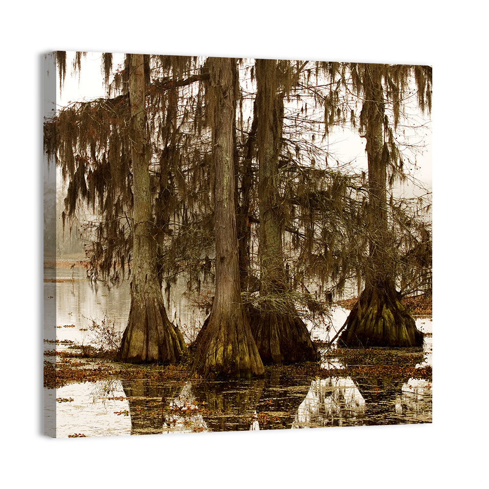 Lake Martin Cypress Morning Wall Art