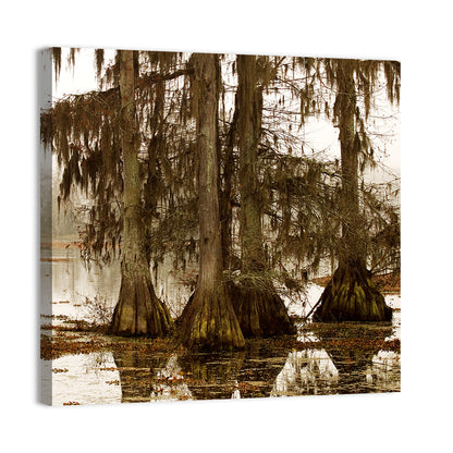 Lake Martin Cypress Morning Wall Art