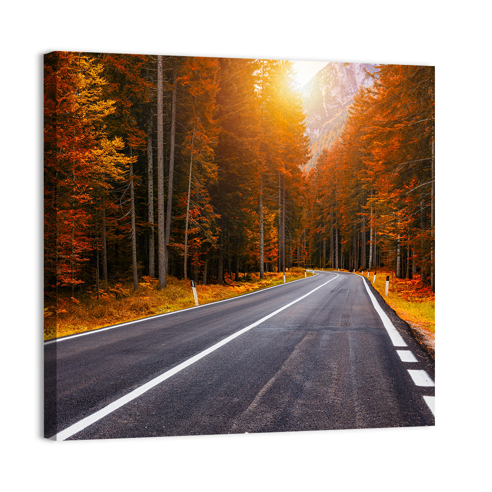 Golden Hour Forest Road Wall Art