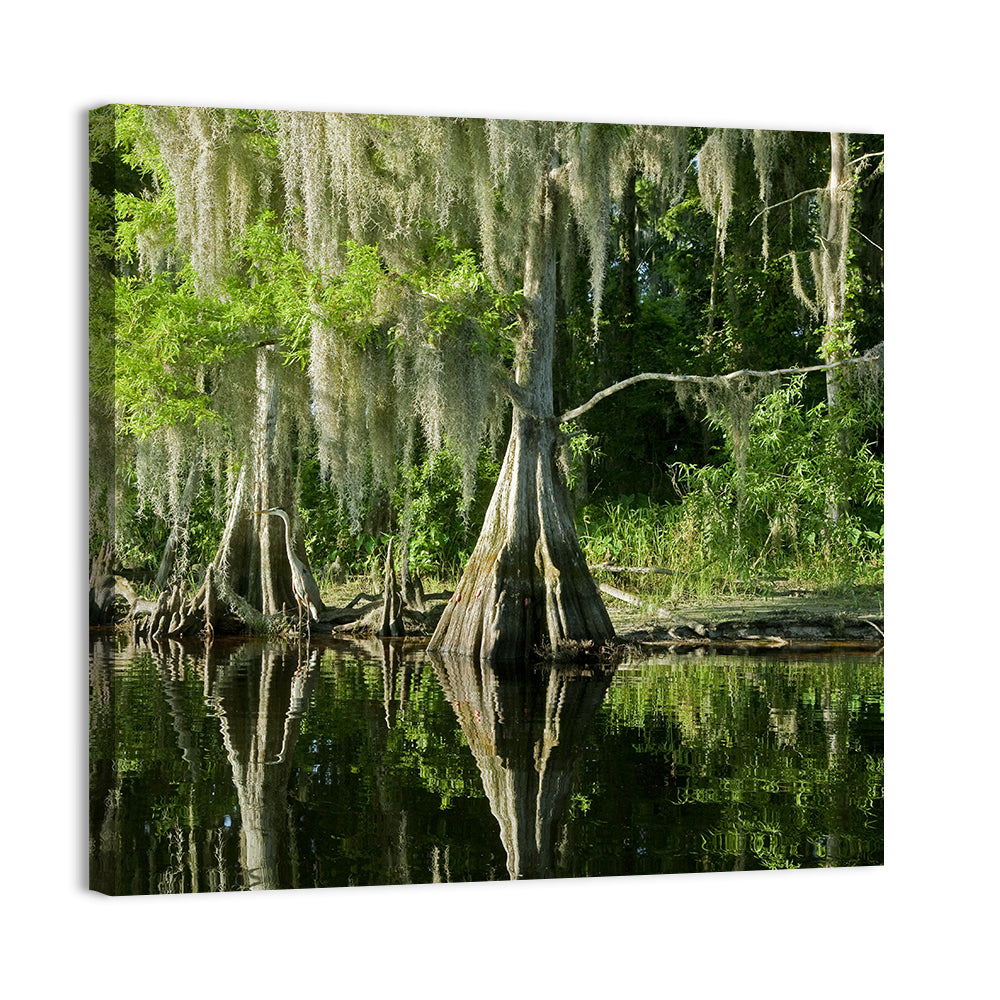 Bald Cypress and Great Blue Heron Wall Art