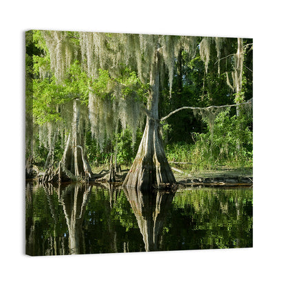 Bald Cypress and Great Blue Heron Wall Art
