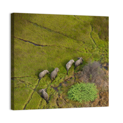 Aerial Herd of Elephants Wall Art