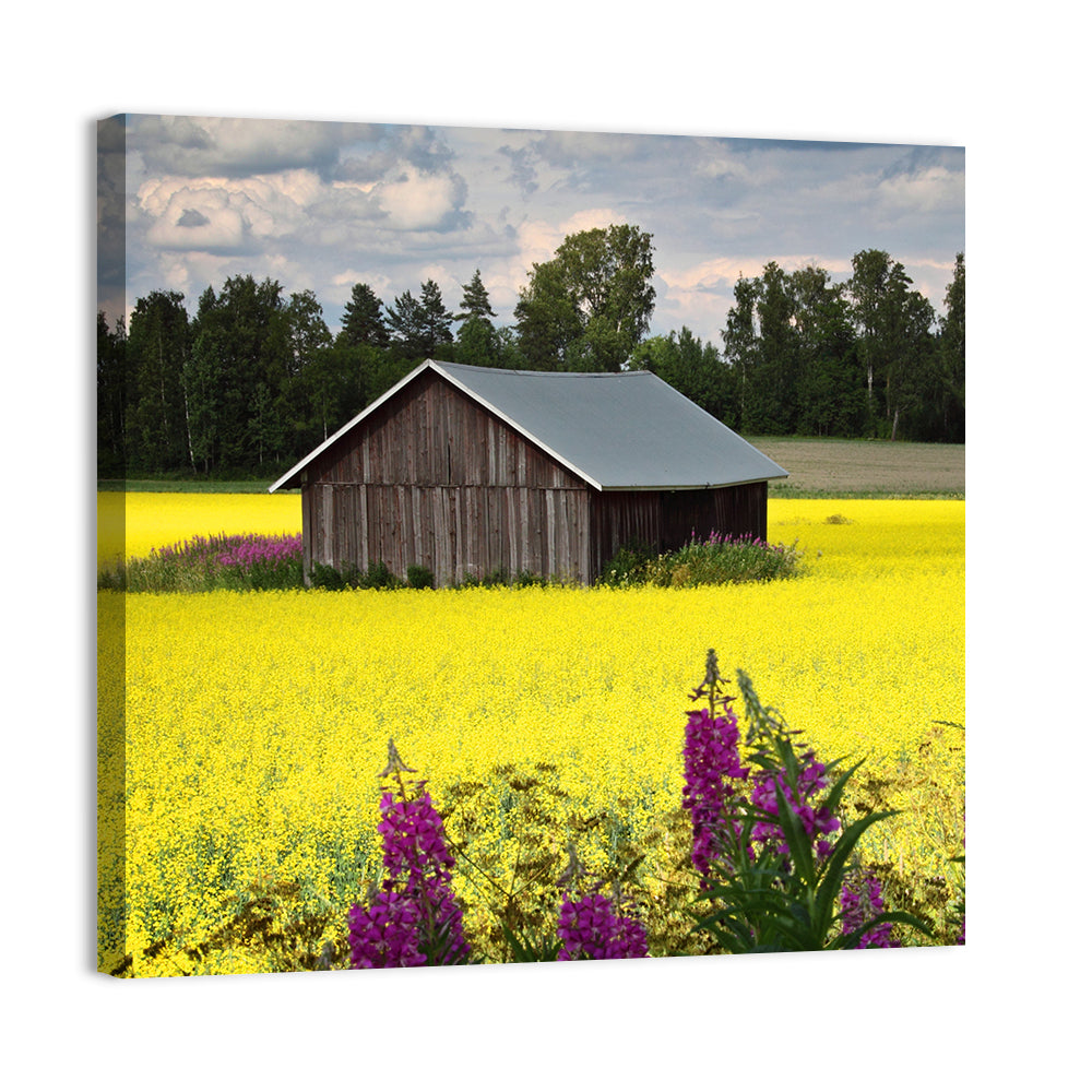 Finnish Barn in Yellow Field Wall Art