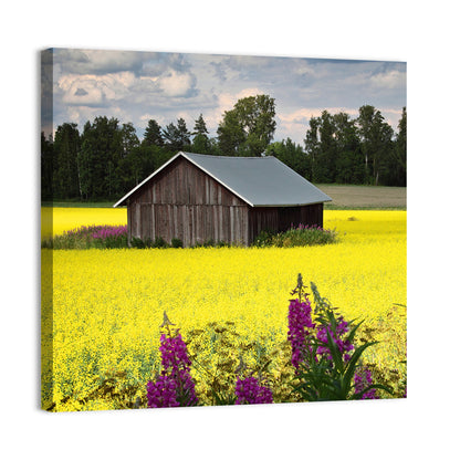 Finnish Barn in Yellow Field Wall Art