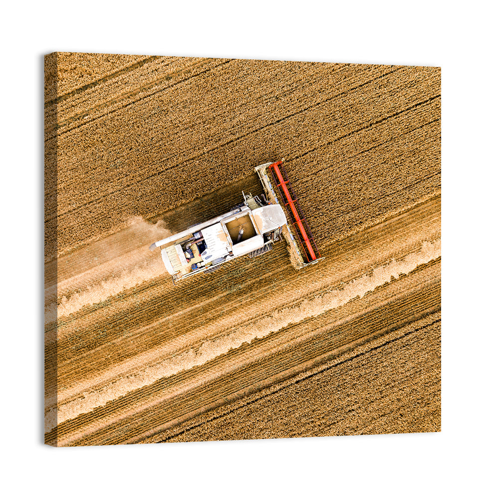 Aerial Combine Over Wheat Field Wall Art, canvas print, square