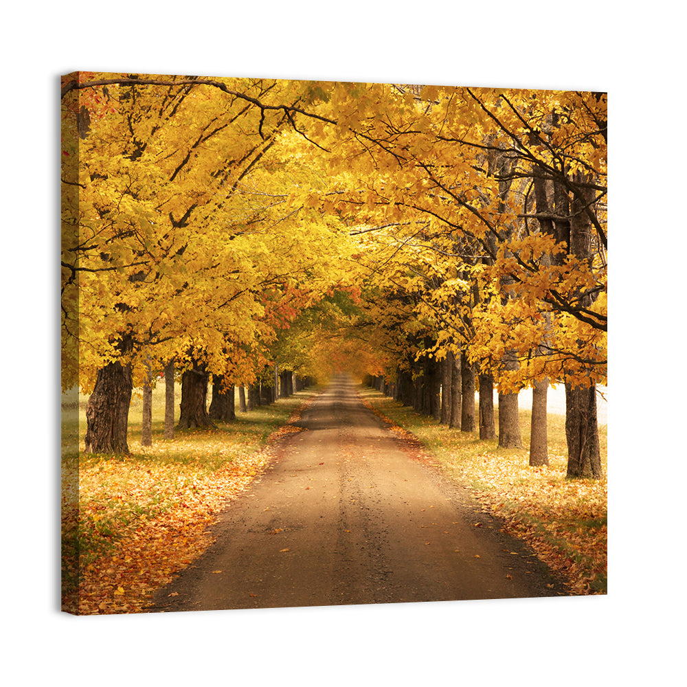 Autumn Road Wall Art