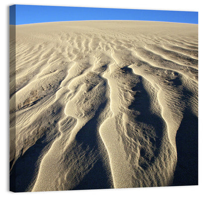 Endless Rippled Sand Dunes Wall Art