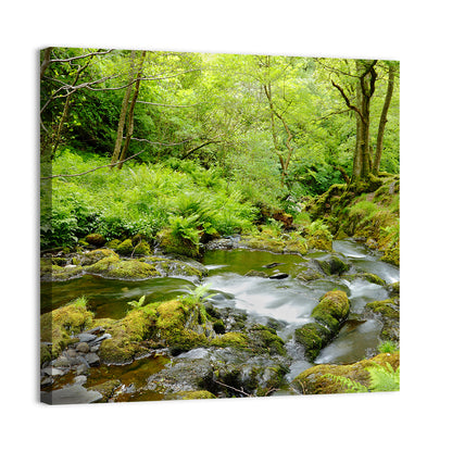 Mossy Stream Through Forest Wall Art