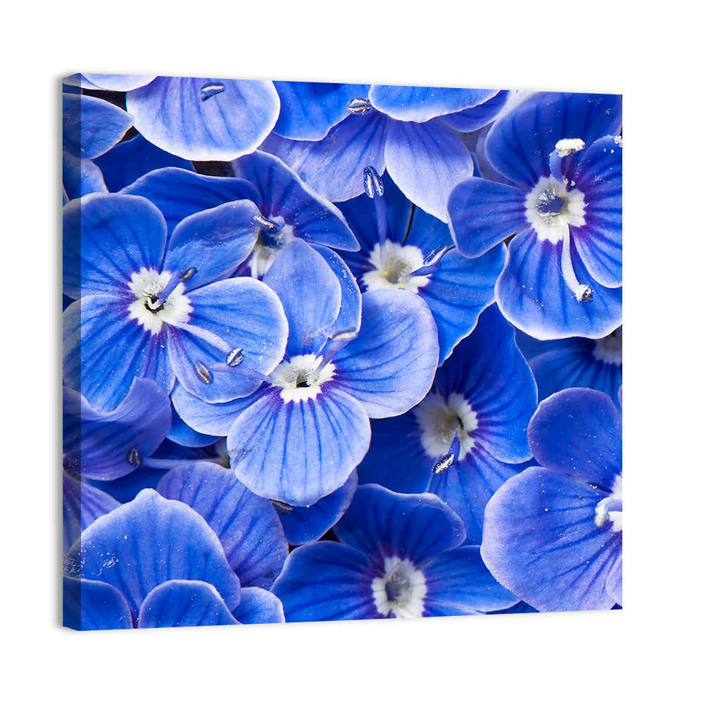 Blue Wildflower Close-up Wall Art