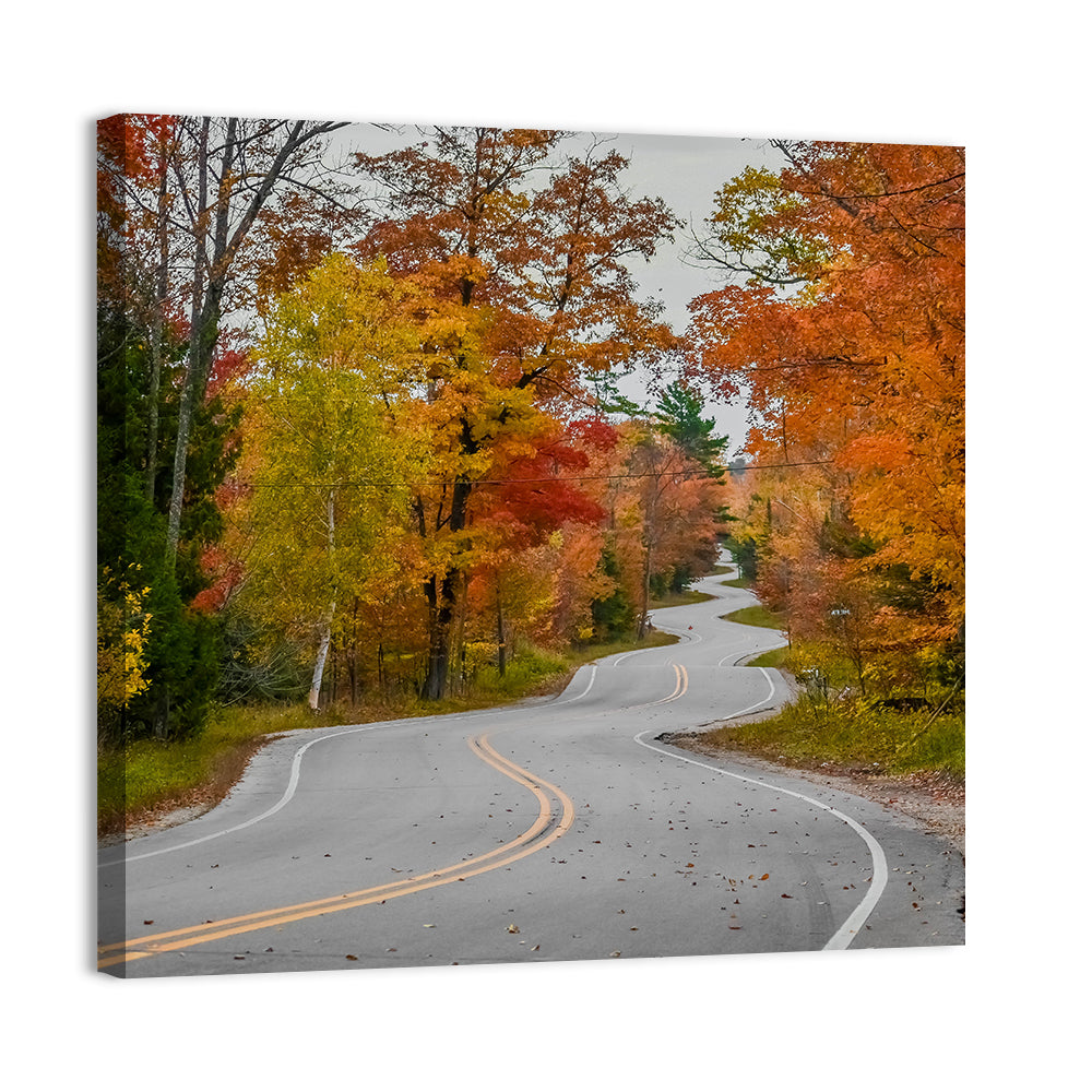 Winding Autumn Highway Wall Art